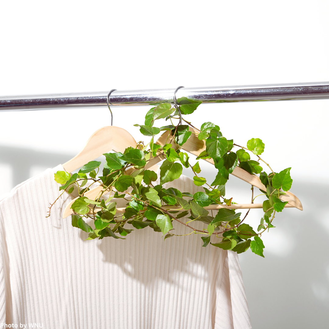 Sustainable Shopping: 7 Budget-Friendly Tips
