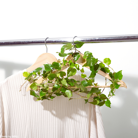 Sustainable Shopping: 7 Budget-Friendly Tips