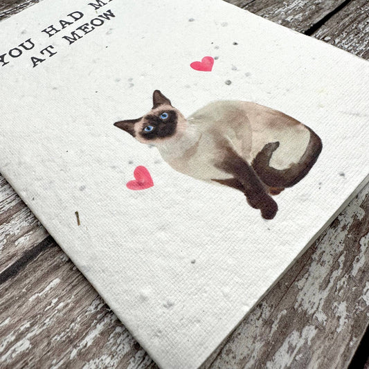 Audrey & Coco - Siamese Valentine's Day plantable seed card