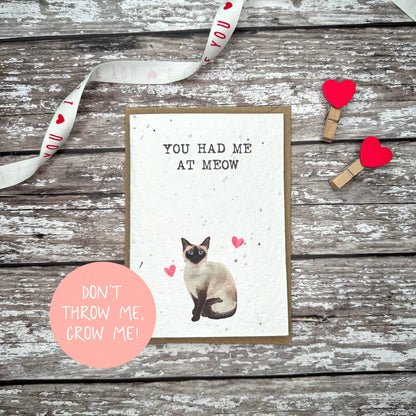 Audrey & Coco - Siamese Valentine's Day plantable seed card
