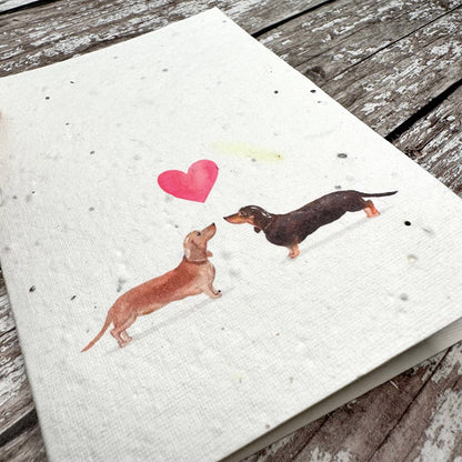 Audrey & Coco - Sausage Dogs Valentine's Day plantable seed card