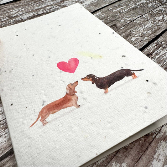 Audrey & Coco - Sausage Dogs Valentine's Day plantable seed card