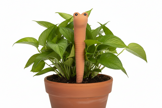 Something Different - Willy the Worm Plant Water Sensors