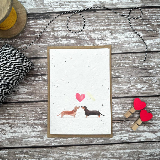 Audrey & Coco - Sausage Dogs Valentine's Day plantable seed card