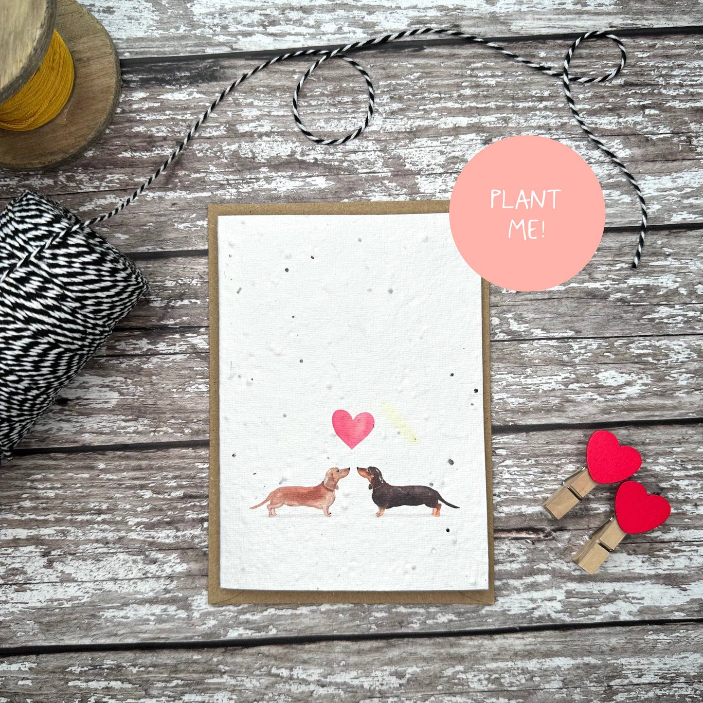 Audrey & Coco - Sausage Dogs Valentine's Day plantable seed card