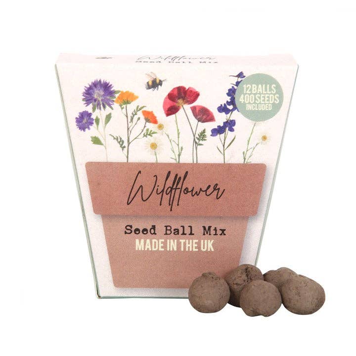 Something Different - Wildflower Seed Balls Packs