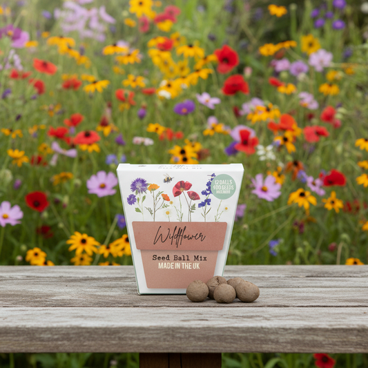 Something Different - Wildflower Seed Balls Packs