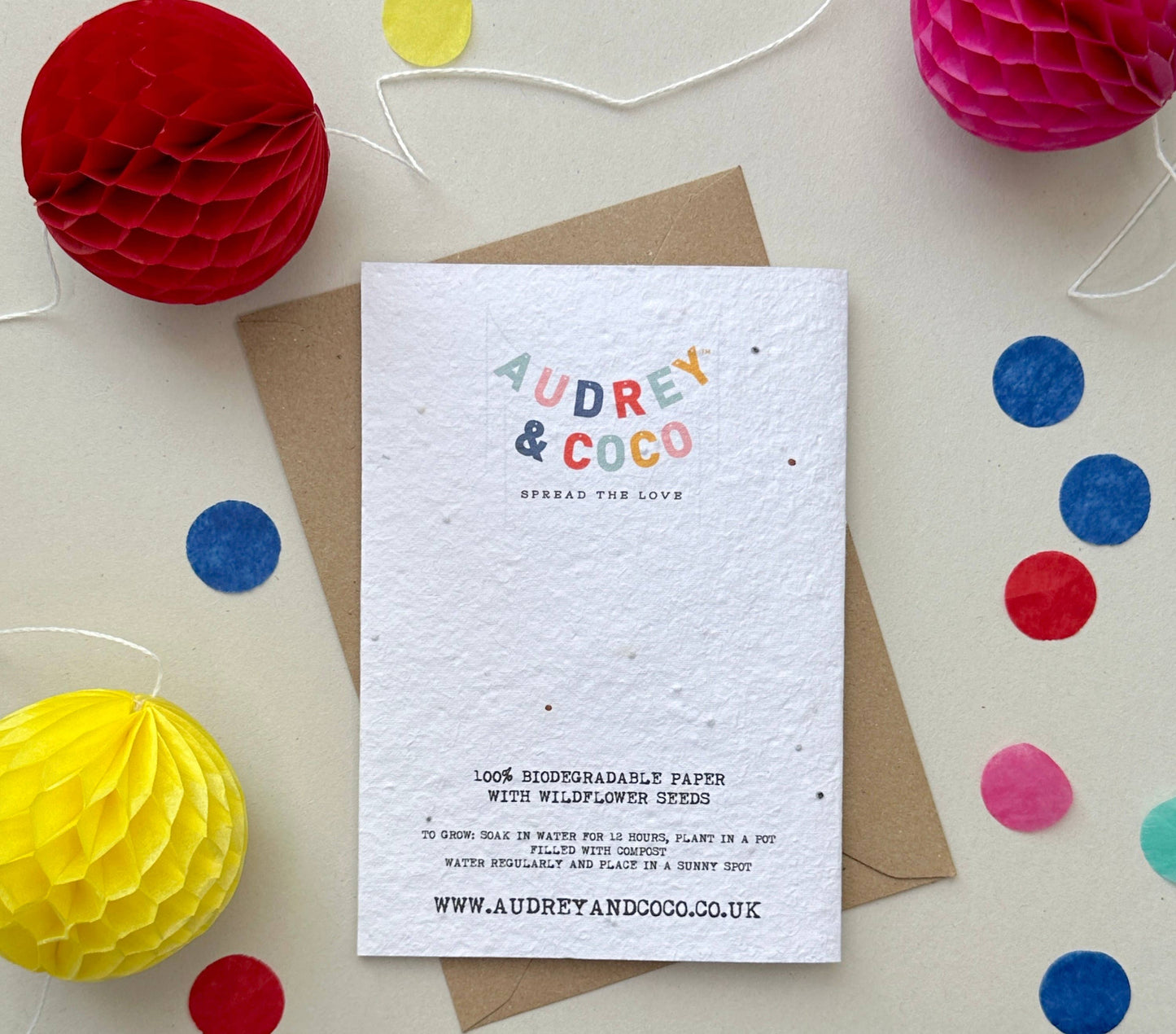 Audrey & Coco - Tortoise Kid's Plantable Birthday Card